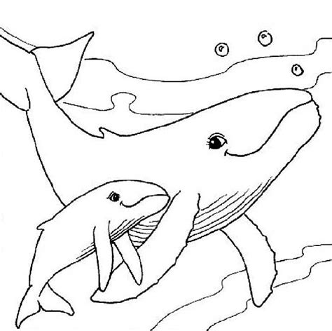 A Whale Withe Her Baby Animals Coloring Page Download