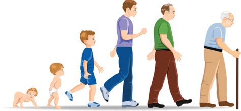 Maybe you would like to learn more about one of these? مراحل نمو الرجل , المراحل المختلفه التى يمر بها الرجل - صوري