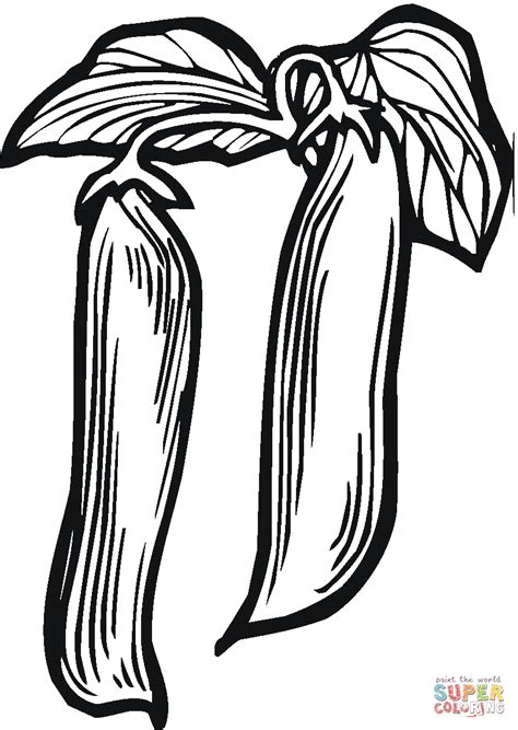 Peas 10 coloring page | Free Printable Coloring Pages