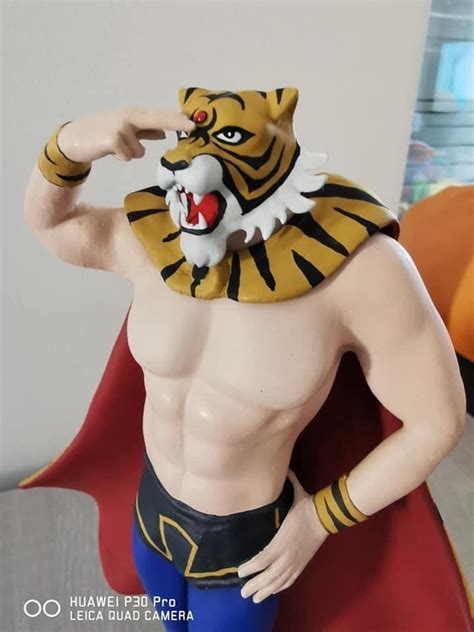 Tiger Mask Uomo Tigre Etsy