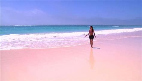 The 10 Best Secret Beaches On Earth Pink Beach In Bonaire Pink Sand