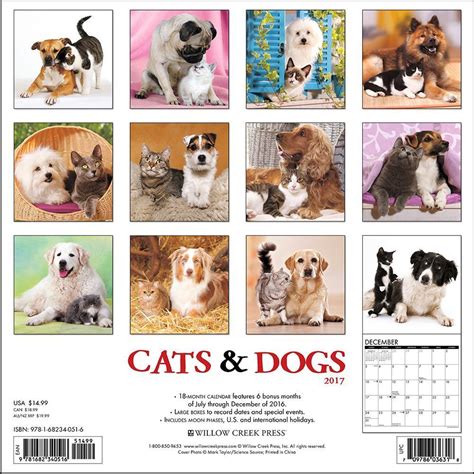 Cat And Dog Calendar