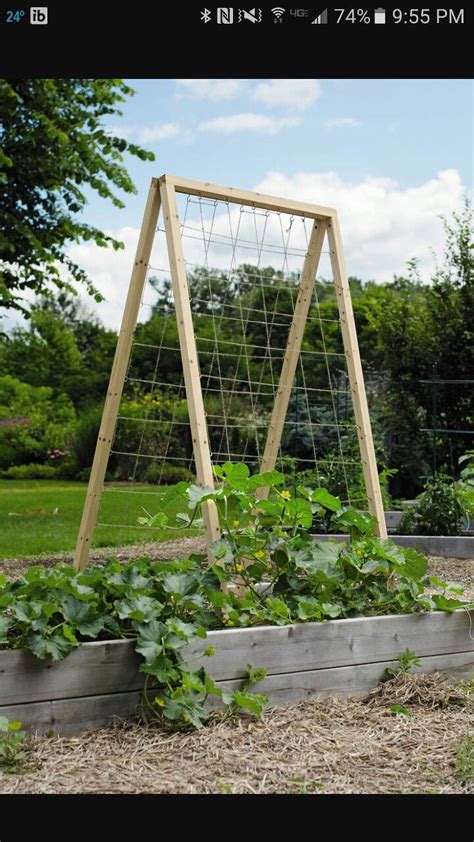 Pin By Nancy Wood On Gardening Vegetable Garden Trellis Diy Garden