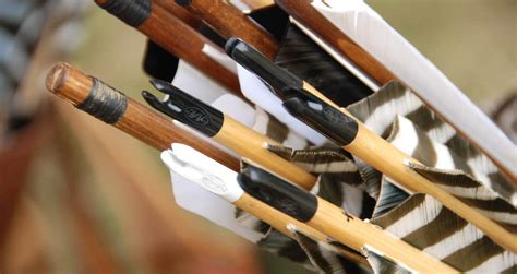 Choosing The Right Type Of Arrow Archery For Beginners