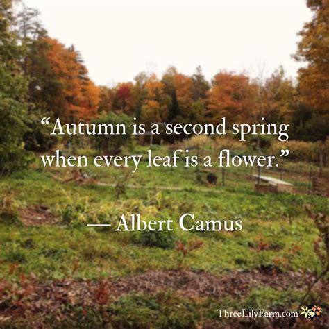 The Quote Autumn Is A Second Spring When Every Leaf Is A Flower Albert