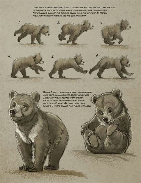 By Aaron Blaise Bear Art Bear Drawing Bear Sketch