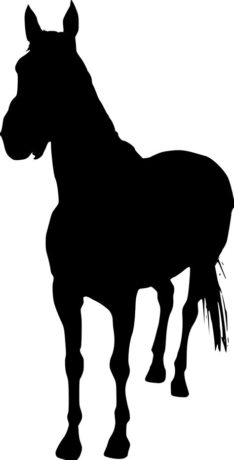 5 Horse Silhouette Png Transparent