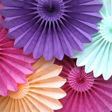 Deluxe Tissue Paper Fan Party Decoration By Peach Blossom Rosace