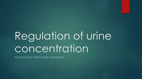 Regulation Of Urine Concentration Youtube