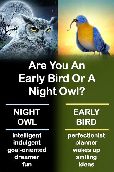 Early Bird Night Owl آکادمی زبان وستا