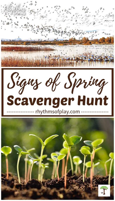 Signs Of Spring Nature Scavenger Hunt For Kids With Printable Rop