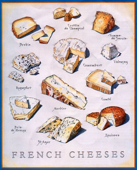 Know Your French Cheeses France ~ Lhexagone French Cheese Wine