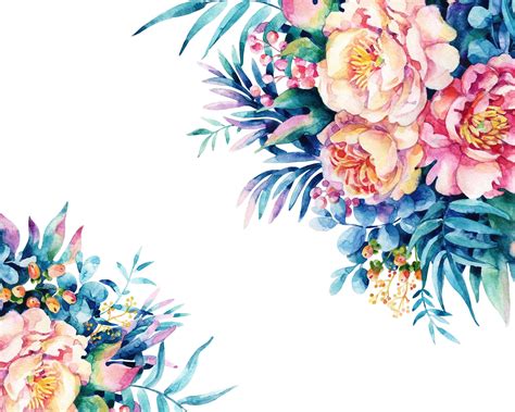 Watercolor Peony Wallpapers Top Free Watercolor Peony Backgrounds