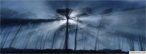 Foggy Forest Clouds Evening Facebook Timeline Cover Facebook Covers
