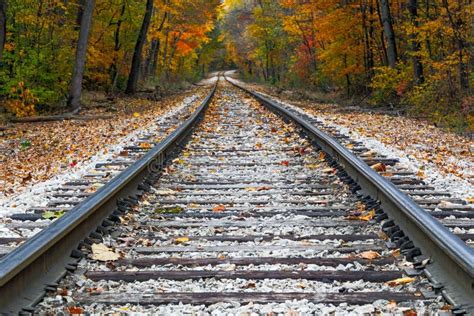 Autumn Railroad Tracks Stock Foto Afbeelding Bestaande Uit September