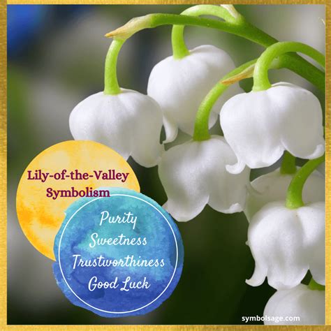 Lily Of The Valley Meaning And Symbolism Symbol Sage