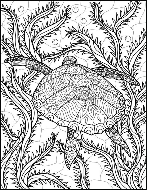 Printable Coloring Page Turtle Coloring Page Adult Coloring Pages