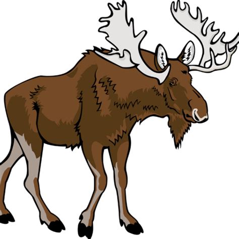 Animated Moose Clipart 20 Free Cliparts Download Images On Clipground