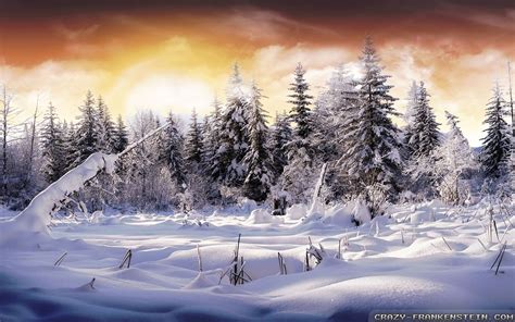 Beautiful Winter Scenery Wallpapers 42 Wallpapers
