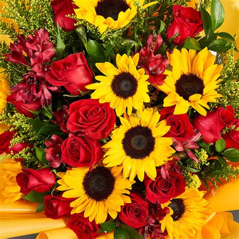 Aesthetic Sunflower And Roses Ubicaciondepersonas Cdmx Gob Mx