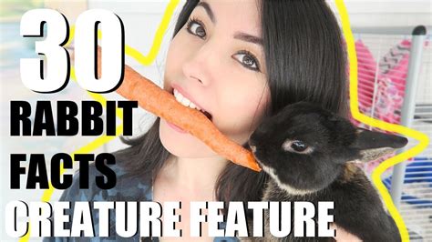 30 Amazing Rabbit Facts Creature Feature Youtube