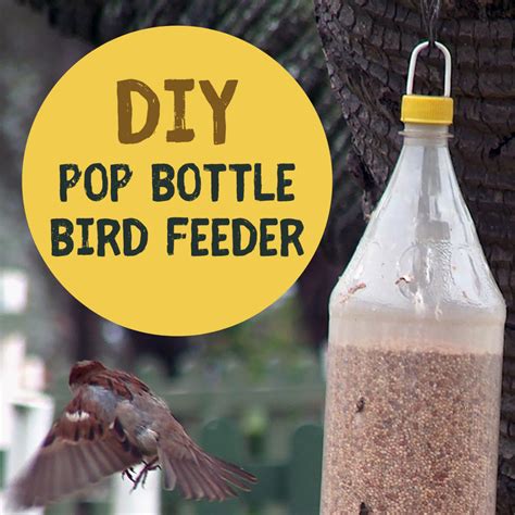 How To Make Bird Feeders From Recycled Plastic Bottles Dengarden