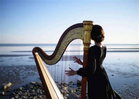 18 Different Types Of Harps Explained Verbnow