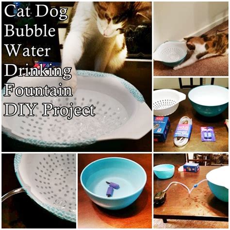 Get the tutorial at addicted 2 diy. Cat Dog Bubble Water Drinking Fountain DIY Project | The ...