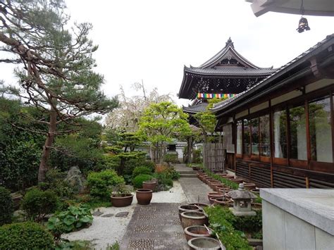 2014年5月6日のブログ記事一覧 Amadeusの「京都のおすすめ」 ブログ版（観光）