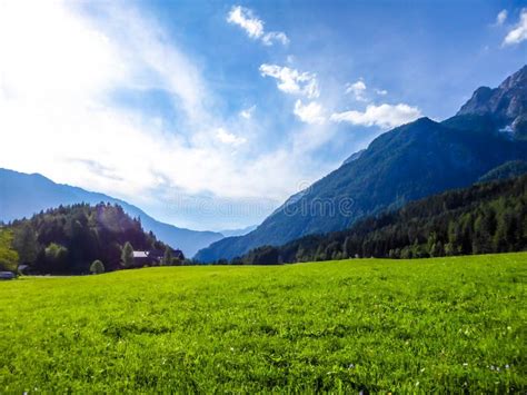 Lienz Dolomites A Lush Green Meadow In The Valley Stock Image Image