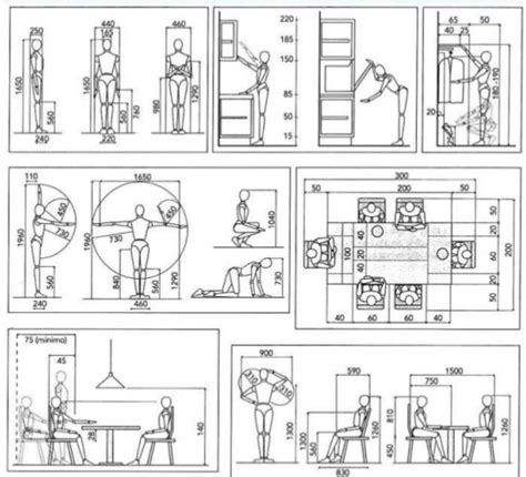 La Antropometría Estudia Las Medidas Del Cuerpo Humano A Fin De