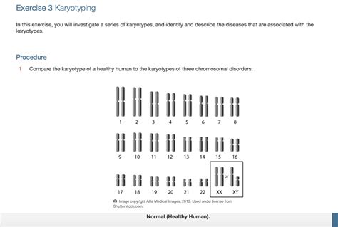 Solved Exercise 3 Karyotyping In This Exercise You Will Chegg Com