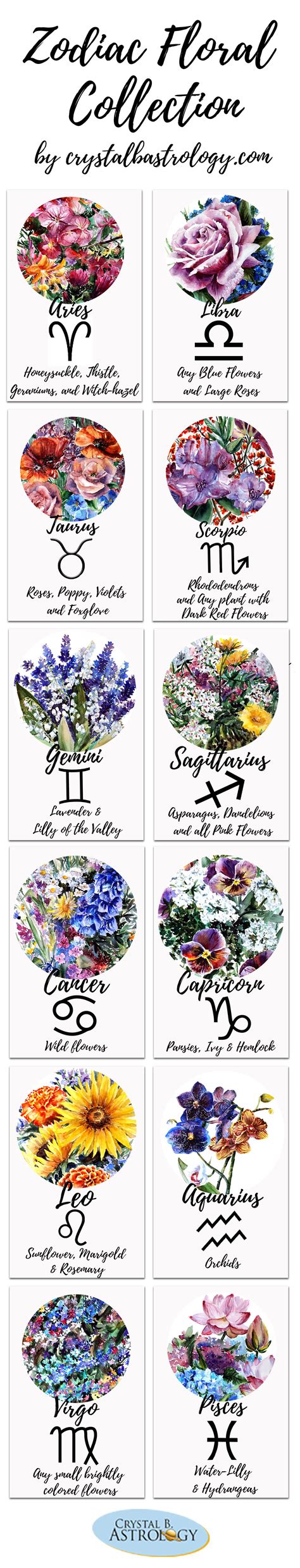 Flowers Of The Zodiac Watercolor Astro Collection Astrology Zodiac