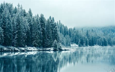 Nature Landscape Trees Winter Lake Water Wallpapers Hd Desktop