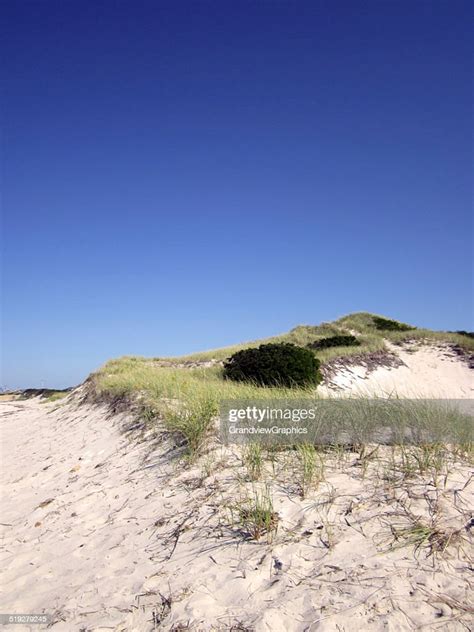 Dunes At Chapin Beach Brewster Massachusetts High Res Stock Photo