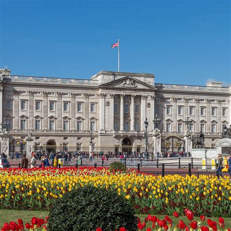 Oh My! How Much Will it Cost to Renovate Buckingham Palace? | Martha Stewart