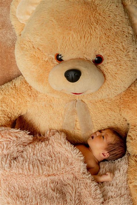 Two Week Old Newborn Baby Sleeping On Teddy Bear Stock Photo Image Of