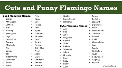 500 Best And Creative Flamingo Names Cool Cute And Funny Engdic
