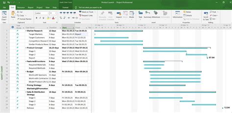 MS Project Gantt Chart Examples
