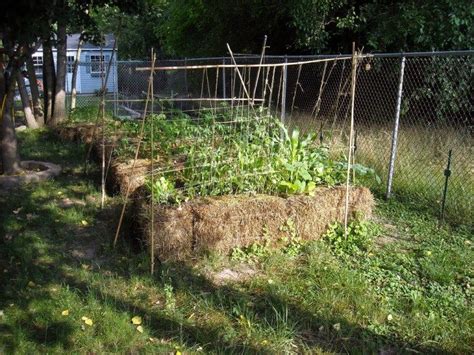 What You Can Grow In A Straw Bale Garden Southeast Agnet Straw Bale