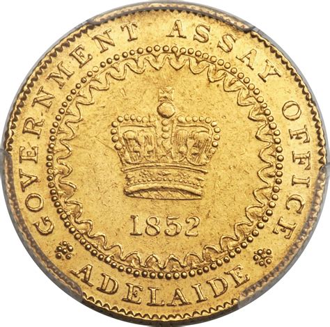 Australia South Australia British Colony Gold Adelaide Pound Lot