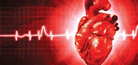 ما أسباب زيادة دقات القلب موضوع