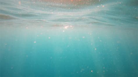 Underwater Sun Light Ocean Waves Oscillate Stock Footage Sbv 337827845
