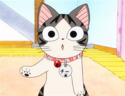 World Of Chi Chis Sweet Home Anime Cat Anime Kitten