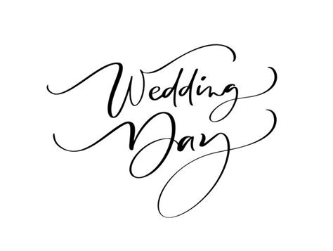 Wedding Day Vector Lettering Text On White Background Handwritten