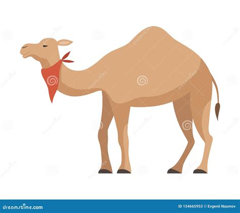 Dromedary One Humped Camel Desert Animal With Red Neckerchief Vector