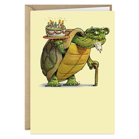 Whippersnapper Old Turtle With Cake Funny Birthday Card Greeting