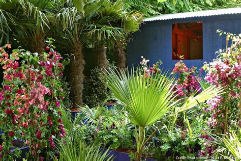 Comment créer un jardin exotique durable | Jardin exotique, Projets de