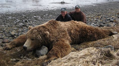 The Biggest Grizzly Bear Ever Killed