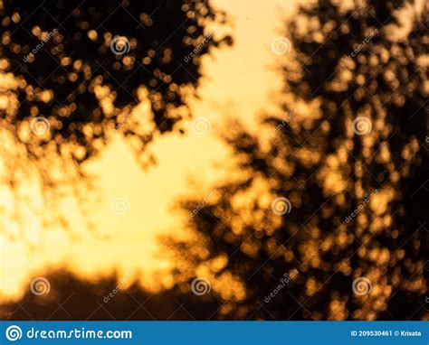 Golden Bokeh Effect And Purposely Blurred Landscape View Of Sunset